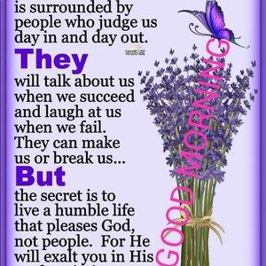 Meet your Posher, Momohammed